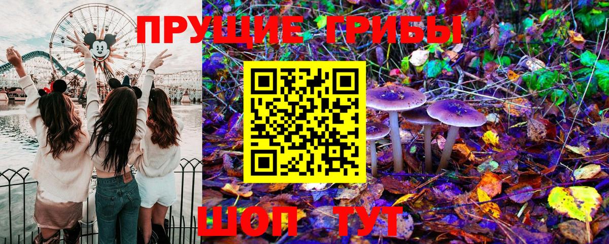 Псилоцибиновые грибы MAGIC MUSHROOMS  Вход с VPN  Можга  Галлюциногенные грибы мицелий 